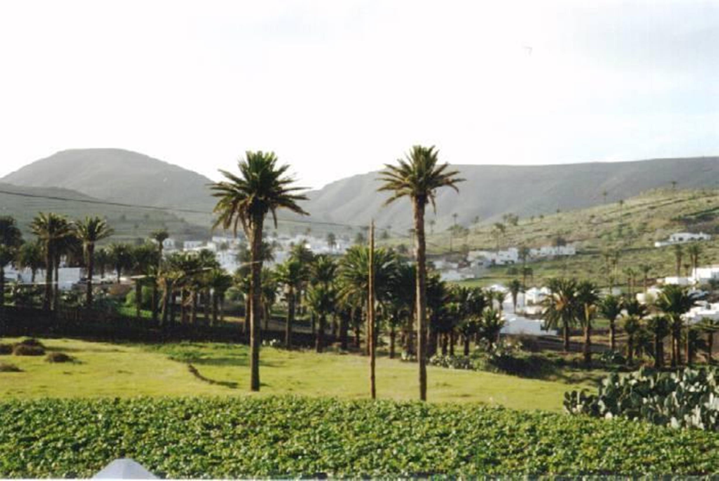 Appartement Celeste Costa Teguise